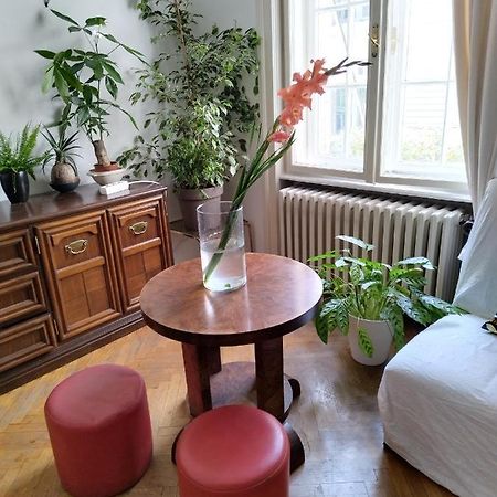 ベオグラード Monica'S Houseホステル エクステリア 写真